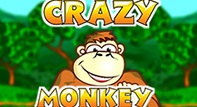 Crazy Monkey